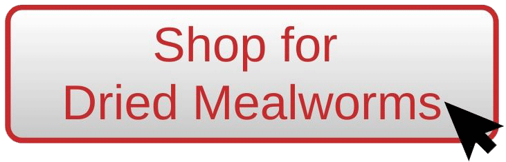 Shop for dried mealworms